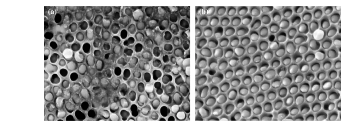 Figure 3. SEM micrograph taken from the top surface of AAO60 samples injected with applied pressure of (a) 350 bar and (b) 700 bar.