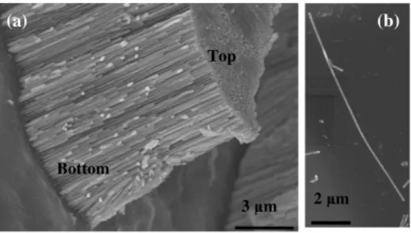 Figure 6. SEM micrograph of (a) the cross section of the AAO60 sample with dense, continuous nanowire arrays stretching all the way through the thickness of the template, and (b) single 10 µm long Sn nanowire after released from the AAO template.