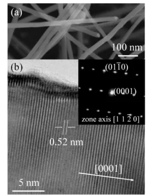 Figure 1. (a) Top-view SEM image of as-grown ZnO nanowires.