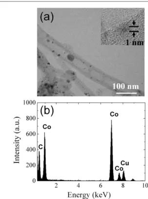 Figure 8. (a) TEM image of Co clusters on surfaces of