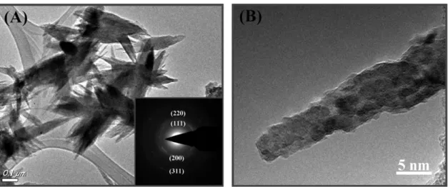 Fig. 2 (A) TEM of nanopetals mechanically scratched oﬀ the 3-D Pt nanoﬂower/Si sample