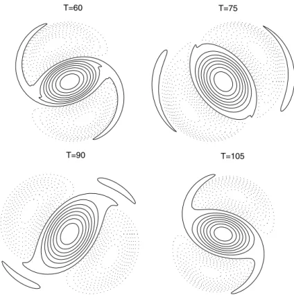 Fig. 4. Vorticity contour plots of the tripole formation from T = 60 to 105: Ô-Õ positive values, Ô.Õ negative values.
