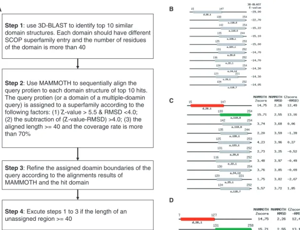 Figure 1 presents an overview of the fastSCOP server for rapidly recognizing SCOP domains and SCOP  super-families