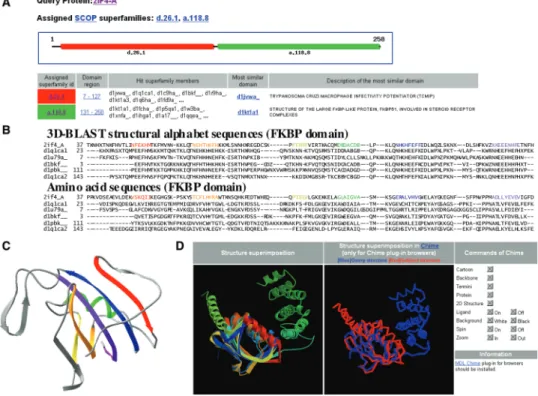 Figure 2. Evolutionary superfamily assignment and structural alignment of the fastSCOP server using the structure of multi-domain immunophilin (AtFKBP42) from Arabidopsis thaliana (PDB code 2IF4-A) as the query
