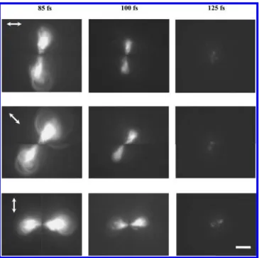 Figure 3. Upper panels: Scattering light intensity at the focal spot at diﬀerent particle densities in the colloidal solution (Insets: scattering light intensity at early 200 ms of trapping time)