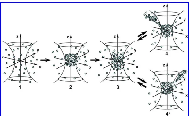 Figure 4. Models of optical conﬁnement and controllable ejection dynamics of polystyrene nanoparticles by tightly focused ultrashort laser pulses with polarization vector along the x-axis