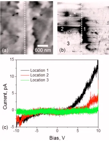 FIG. 1. 共Color online兲 共a兲 Topography and 共b兲 schematic of GB cross sec- sec-tion. Red and blue lines in 共b兲 represent the piezoresponse signal