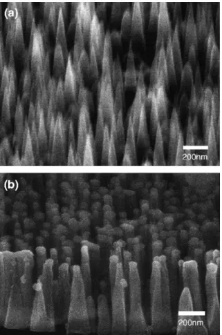 Fig. 1. SEM images of (a) carbon nanotips and (b) chromium carbide capped carbon nanotips showing the surface morphology.