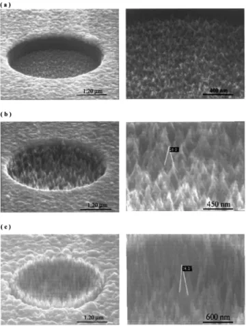 Figure 1 shows scanning electron microscopy 共SEM兲 photographs of carbon nanotips grown under different biases