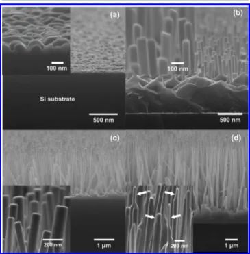 Figure 1 shows the morphological evolution of the ZnO nanostructures obtained with various growth durations