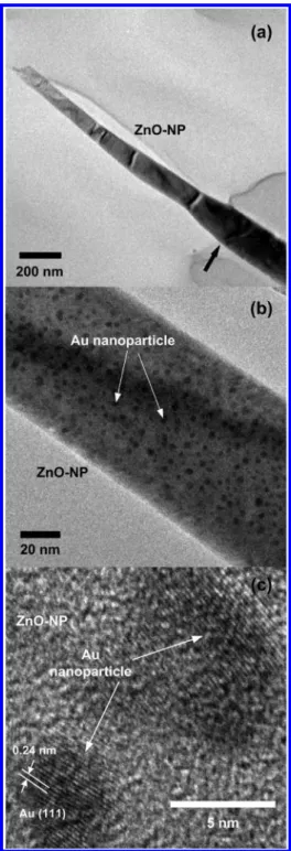 Figure 6 shows the J −E curves for all the Au/ZnO samples (i.e., samples A −D coated with Au)
