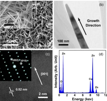 Fig. 1. Schematic view of the growth mechanism of the ZnO NWs.