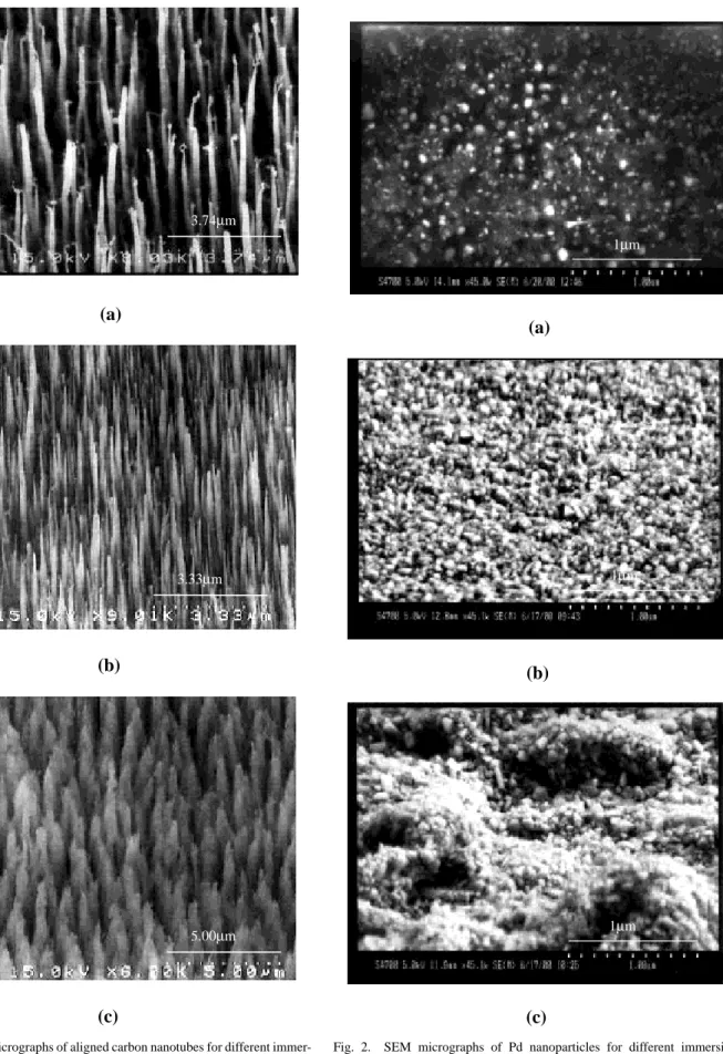 Fig. 1. SEM micrographs of aligned carbon nanotubes for different immer- immer-sion times in PdCl 2 : (a) 1 min, (b) 20 min, and (c) 40 min.