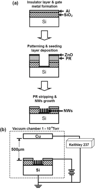 Fig. 2. (a) FE SEM microphotographs of the triode near the gate edge. The inset is the 4 2 5 array triode with the ZnO NW islands grown inside gate holes