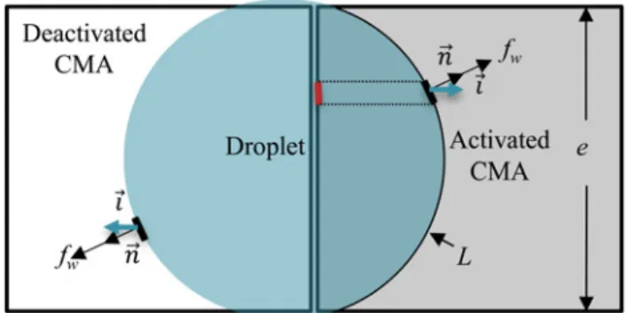 Fig. 9 Contact line and the capillary force acting on the droplet in direction of unit vector i