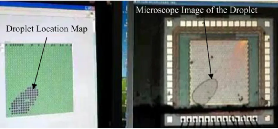 Fig. 10 FPLOC droplet detection: a real-time droplet location map in comparison to the actual droplet image