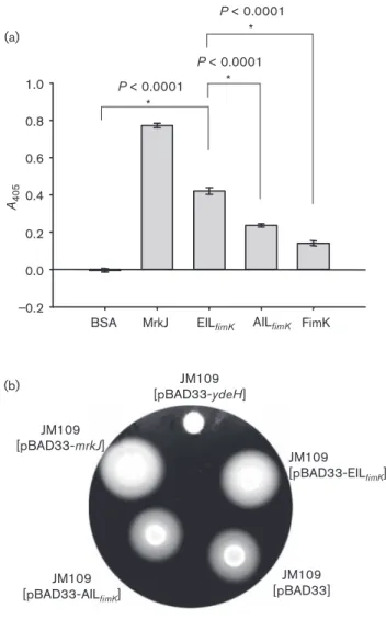 Fig. 5. The recombinant FimK protein exerts PDE activity. (a) The recombinant MrkJ, the EIL domain and AIL domain of FimK, and FimK were analysed for PDE activity