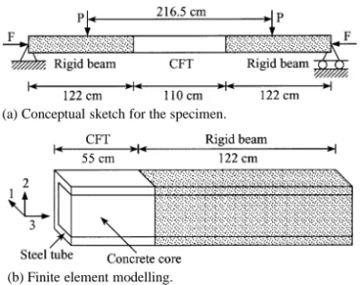 Fig. 7. Conceptual sketch and finite element modeling of a CFT column.