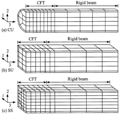 Fig. 8. Finite element meshes for CFT columns.