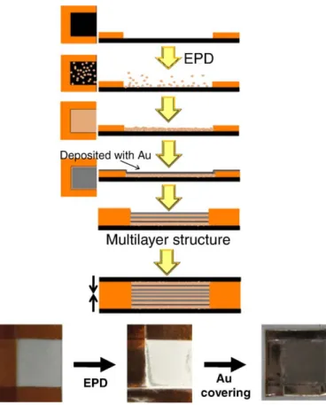 Fig. 1. Schematic ﬂowchart of the preparation details of the multilayer membrane and construction of the drug delivery chip.