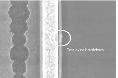 Fig. 7. The SEM image of the gate oxide breakdown of the grounded gate MOSFET.