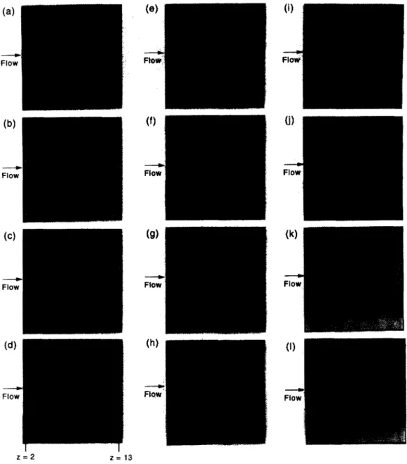Fig. 3. Flow pattern  transformation from the unidirectional flow to the transverse rolls by raising  Ra from  1500 to 4300  in  110 s at  Ra  =  5 and  t =(a)  0 s  (b)  33 s  (c)  51  s  (d)  60 s (e)  64 s  (f)  87 s (g)  95 s  (h)  101  s 