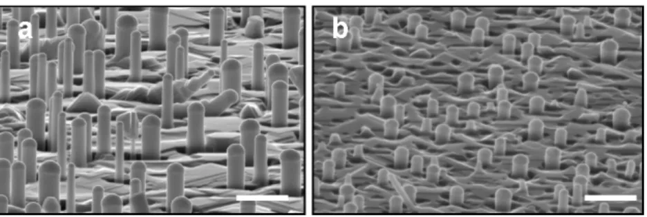 Figure 1. SEM images of Si NWs grown by EBE at 650 ◦ C: (a) 1 h; (b)10 min. The scale bar for (a) and (b) is 1 μm.