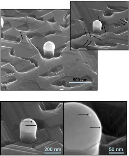 Figure 5. High resolution SEM micrographs that show the ∼5 nm core/shell CdSeTe/ZnS QDs on SiNWs with nanoscale Au-caps on Si(111) substrates as they form by the Au-catalyzed VLS EBE growth