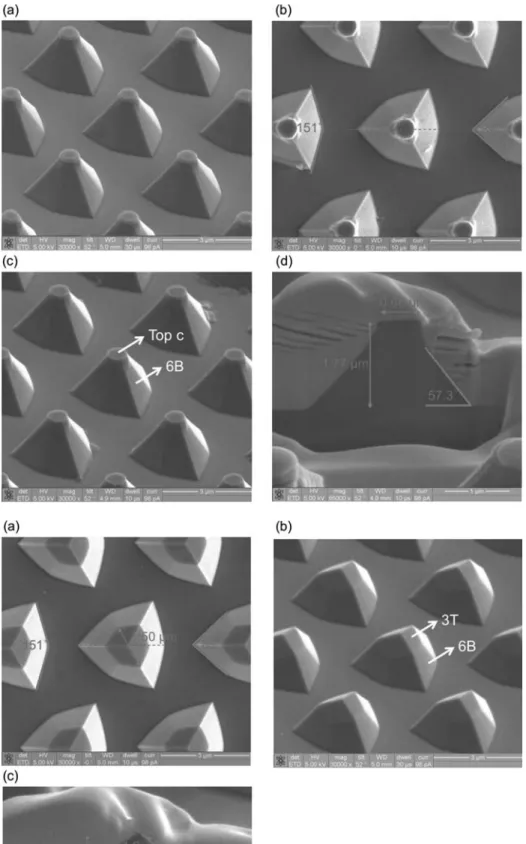 Figure 1. SEM images of 12PSS. (a) is the