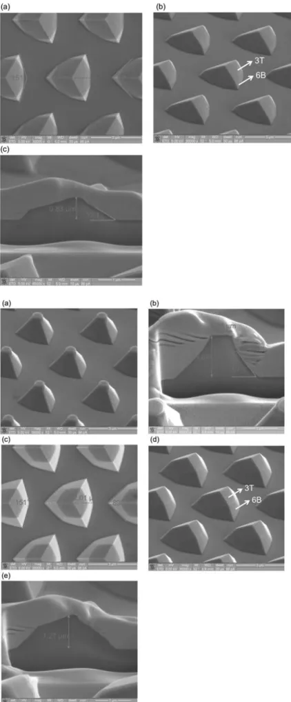 Figure 3. SEM images of 16PSS. (a) is the top-view image. (b) is