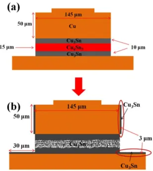 Figure 10. Schematic diagrams of transformation process at (a) early stage and (b) final stage in the  electromigration tests