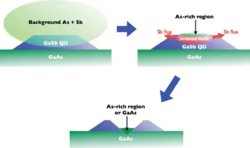 FIG. 3. A schematic figure describing the formation mechanisms of GaSb QRs.