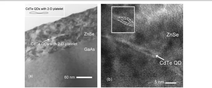 Figure 1. (a) Cross-sectional TEM (XTEM) image and (b) high resolution XTEM image of the CdTe 5.0 MLs QDs