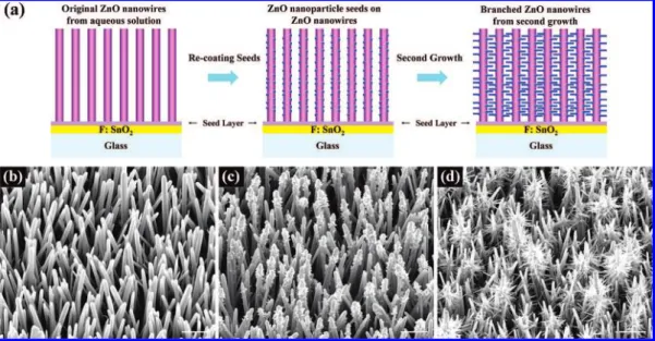 Figure 1. (a) The schematic growth procedure from the original ZnO nanowires to the branched ZnO nanowires, (b) before and (c) after recoating a seed layer of the original ZnO nanowires obtained from a solvothermal method, and (d) the branched ZnO nanowire