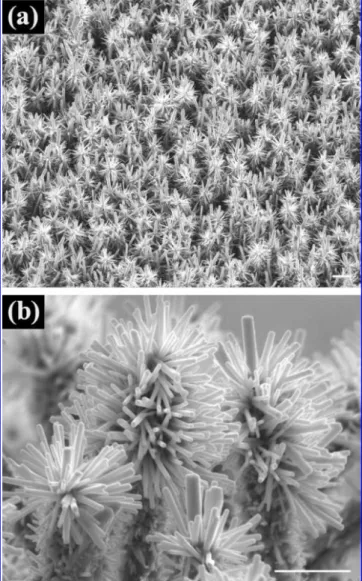 Figure 2. (a) Low- and (b) high-magnification FESEM images of the branched ZnO nanowires after second growth; scale bar, 1 µm.