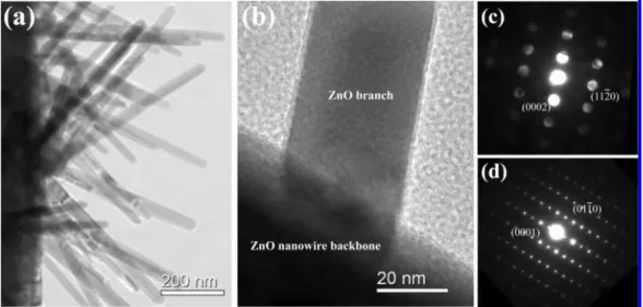 Figure 3. (a) TEM image of a single branched ZnO nanowire, (b) the magnified intersection area of ZnO branch and nanowire, and (c and d) the corresponding nanobeam diffraction (NBD) and select-area electron diffraction (SAED) for the secondary ZnO branch a