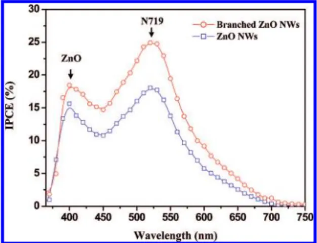 Figure 6. Incident monochromatic photon to current conversion efficiency (IPCE) of the bare ZnO nanowire and the branched ZnO nanowire DSCs.