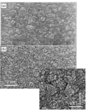 Fig. 1. SEM micrograph of (a) as-deposited diamond ﬁlms, and (b) Fe/Co-coated and 8001C post-annealed diamond ﬁlms.