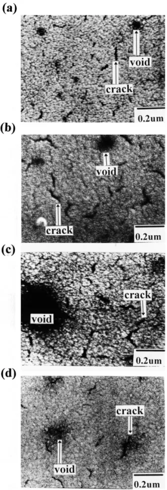 Fig. 7. SEM micrographs showing surface morphology of samples A's: (a) without N 2 pre-sintering treatment (A AS ), (b) with N 2 pre-sintering 