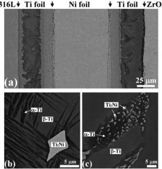 Figure 2 a displays a bright-ﬁeld image (BFI) of the needle-like α-Ti in the β-Ti