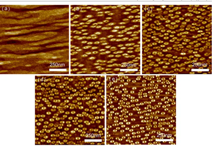 Figure 1. AFM images showing the surface morphology of quantum rings formed with different GaAs/AlAs cap layers
