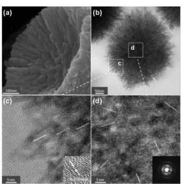 Fig. 2a shows the SEM image of a broken ED5 sphere. According to this profile of the cross section, one expects that