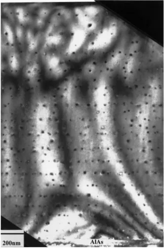 Fig. 2. [1 1 0] cross-sectional bright field TEM image of sample after annealing for 30 s at 800°C.