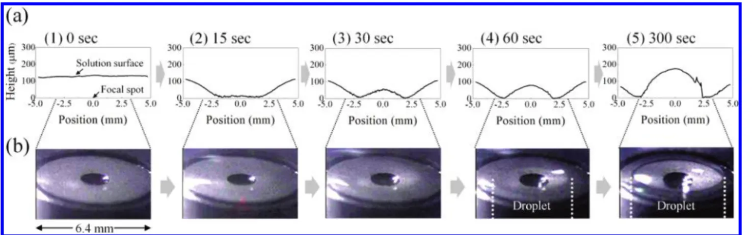 Figure 3. (a) Temporal profile change in a glycine solution film upon focusing the laser beam at a glass/solution interface