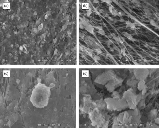 Fig. 5. SEM observation of membrane surface after precoagulation filtration with aluminum sulfate combined with ultrasonic cleaning: (a) no precoagulation; (b) EPE mechanism; (c) CN mechanism; (d) SW mechanism