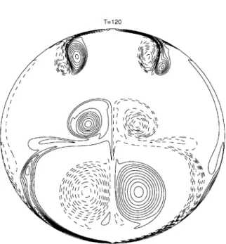 Figure 3. Four vortex dipoles were seen after two complete dipole collisions at T = 120.