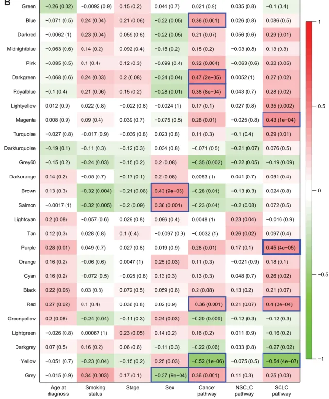 Figure 3 The correlations between network modules and patient features/cancer pathways.