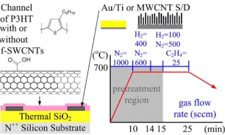 Fig. 1. Scheme of device structure of transistors with F-SWCNT-P3HT channel and an MWCNT S/D