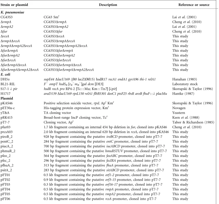 Table 1. Bacterial strains and plasmids used in this study