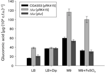 Fig. 5. Fur regulation of iron acquisition in K. pneumoniae CG43. (a) Deletion of fur increases K